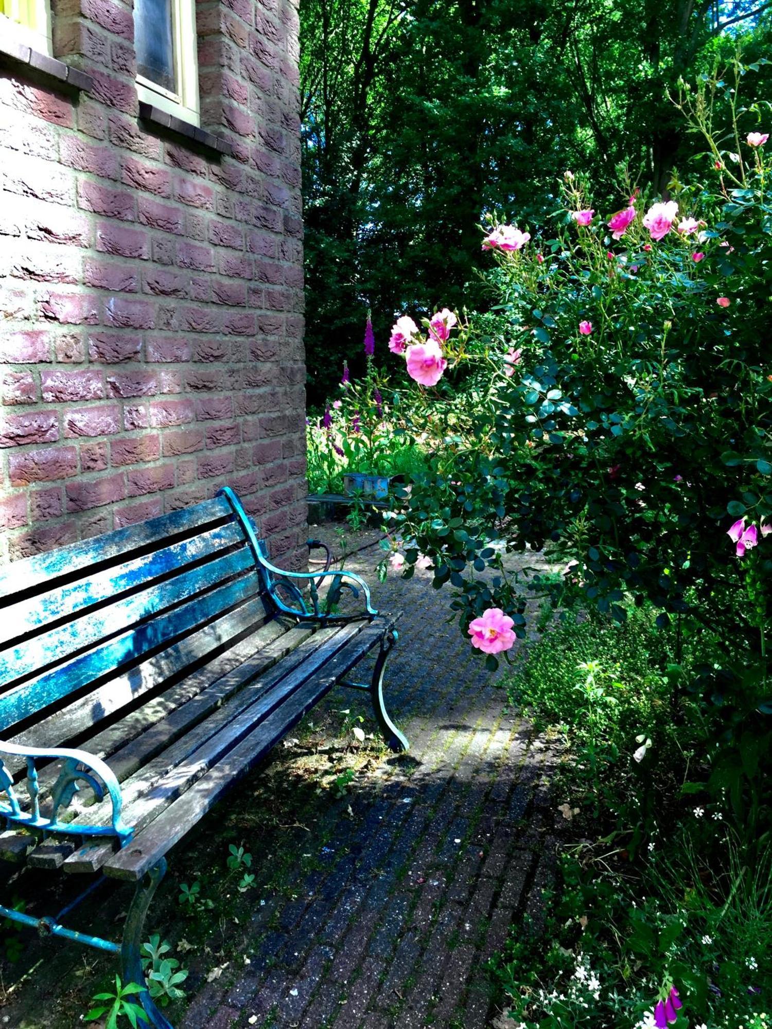 Blauwe Lelie Villa Ewijk Exterior foto
